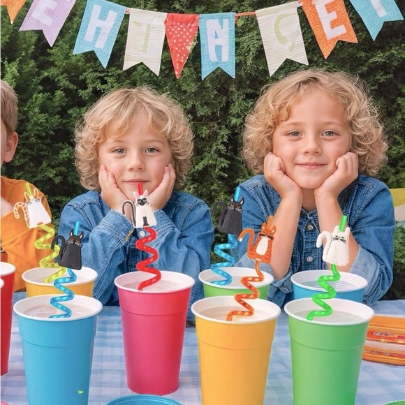 Junuo Other - Colorful Cat-Themed Spiral Straws
